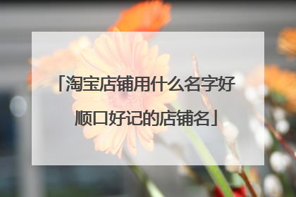 淘宝店铺用什么名字好 顺口好记的店铺名