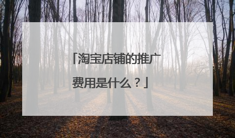 淘宝店铺的推广费用是什么?