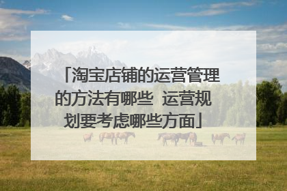 淘宝店铺的运营管理的方法有哪些 运营规划要考虑哪些方面