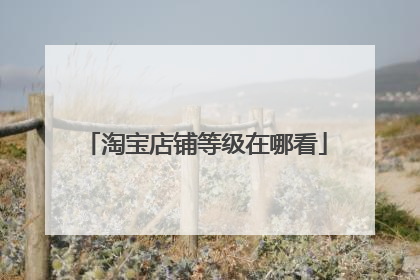 淘宝店铺等级在哪看