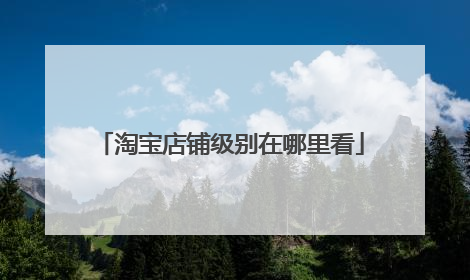 淘宝店铺级别在哪里看