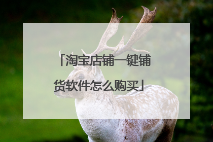 淘宝店铺一键铺货软件怎么购买