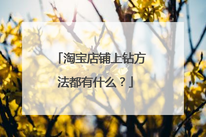 淘宝店铺上钻方法都有什么?