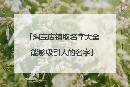 淘宝店铺取名字大全 能够吸引人的名字