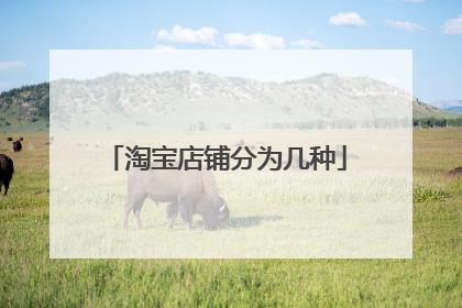 淘宝店铺分为几种