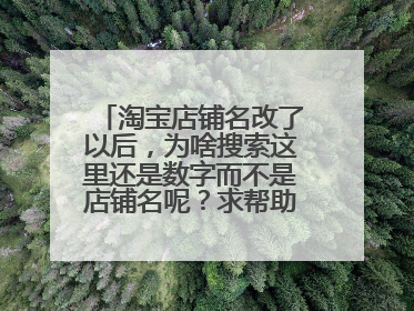 淘宝店铺名改了以后,为啥搜索这里还是数字而不是店铺名呢?求帮助,同步店铺名