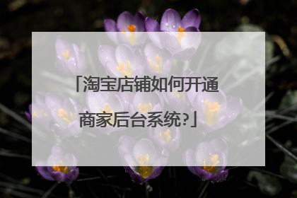 淘宝店铺如何开通商家后台系统?