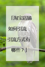 淘宝店铺如何引流 引流方式有哪些?