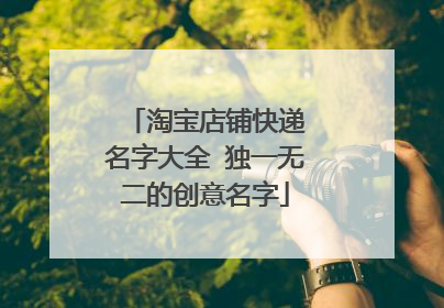 淘宝店铺快递 名字大全 独一无二的创意名字