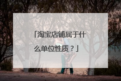 淘宝店铺属于什么单位性质?