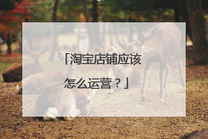 淘宝店铺应该怎么运营?