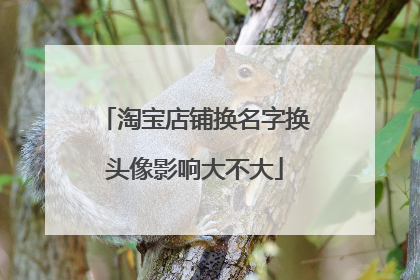 淘宝店铺换名字换头像影响大不大