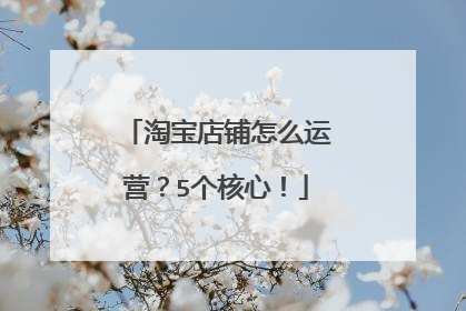 淘宝店铺怎么运营？5个核心！