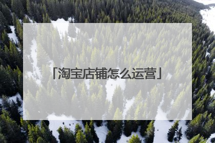 淘宝店铺怎么运营