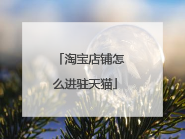 淘宝店铺怎么进驻天猫