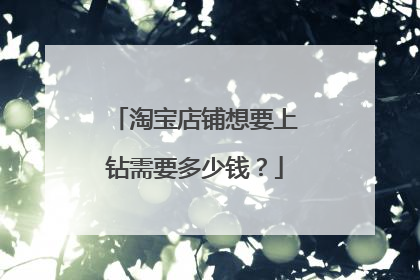 淘宝店铺想要上钻需要多少钱?