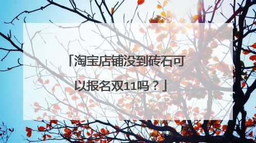 淘宝店铺没到砖石可以报名双11吗?