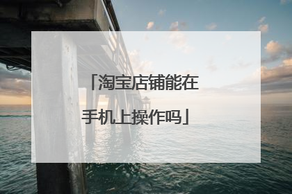 淘宝店铺能在手机上操作吗