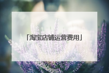 淘宝店铺运营费用
