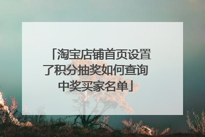 淘宝店铺首页设置了积分抽奖如何查询中奖买家名单