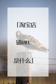 淘宝店铺URL是什么
