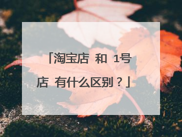 淘宝店 和 1号店 有什么区别?