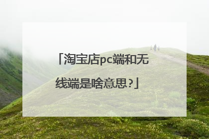 淘宝店pc端和无线端是啥意思?
