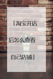 淘宝开店后怎么查看自己店铺