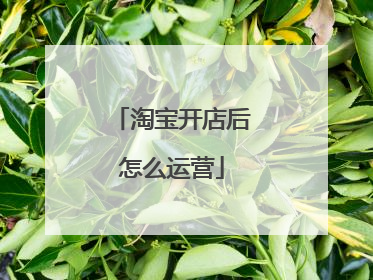 淘宝开店后怎么运营