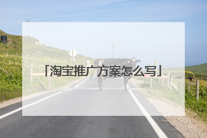 淘宝推广方案怎么写
