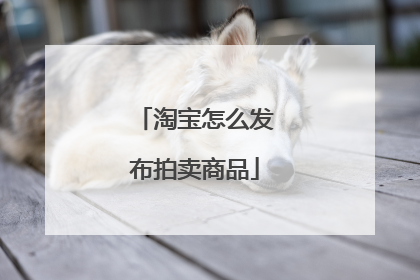 淘宝怎么发布拍卖商品