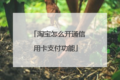淘宝怎么开通信用卡支付功能