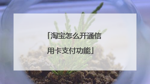 淘宝怎么开通信用卡支付功能