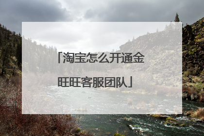 淘宝怎么开通金旺旺客服团队