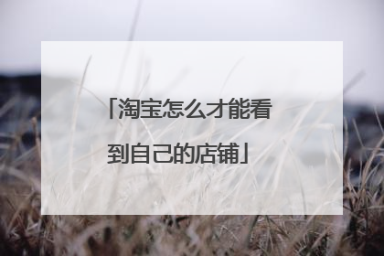 淘宝怎么才能看到自己的店铺