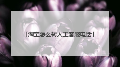 淘宝怎么转人工客服电话