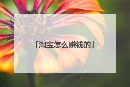 淘宝怎么赚钱的