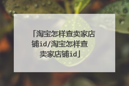 淘宝怎样查卖家店铺id/淘宝怎样查卖家店铺id
