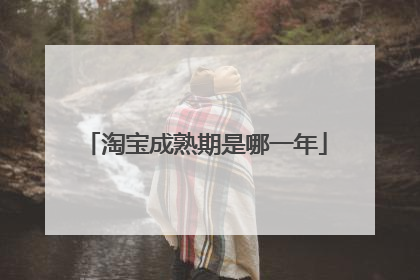 淘宝成熟期是哪一年