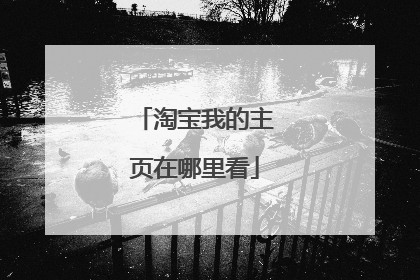 淘宝我的主页在哪里看
