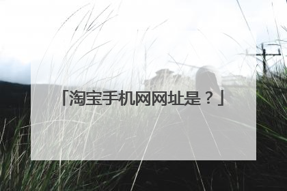 淘宝手机网网址是?