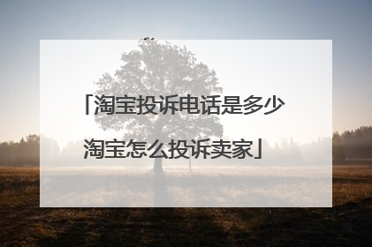 淘宝投诉电话是多少淘宝怎么投诉卖家