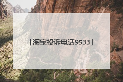 淘宝投诉电话9533