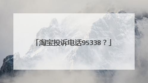 淘宝投诉电话95338?