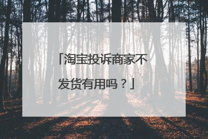 淘宝投诉商家不发货有用吗?