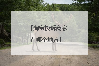 淘宝投诉商家在哪个地方