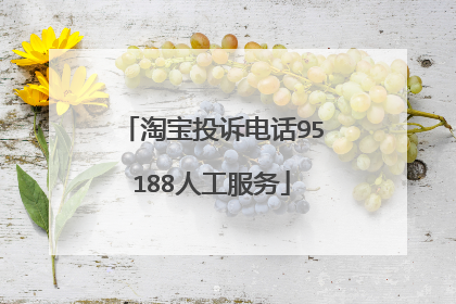 淘宝投诉电话95188人工服务
