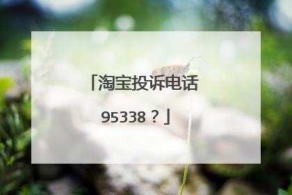 淘宝投诉电话95338?