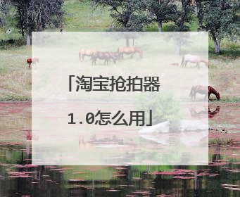 淘宝抢拍器 1.0怎么用