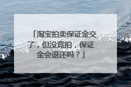淘宝拍卖保证金交了,但没竞拍,保证金会退还吗?